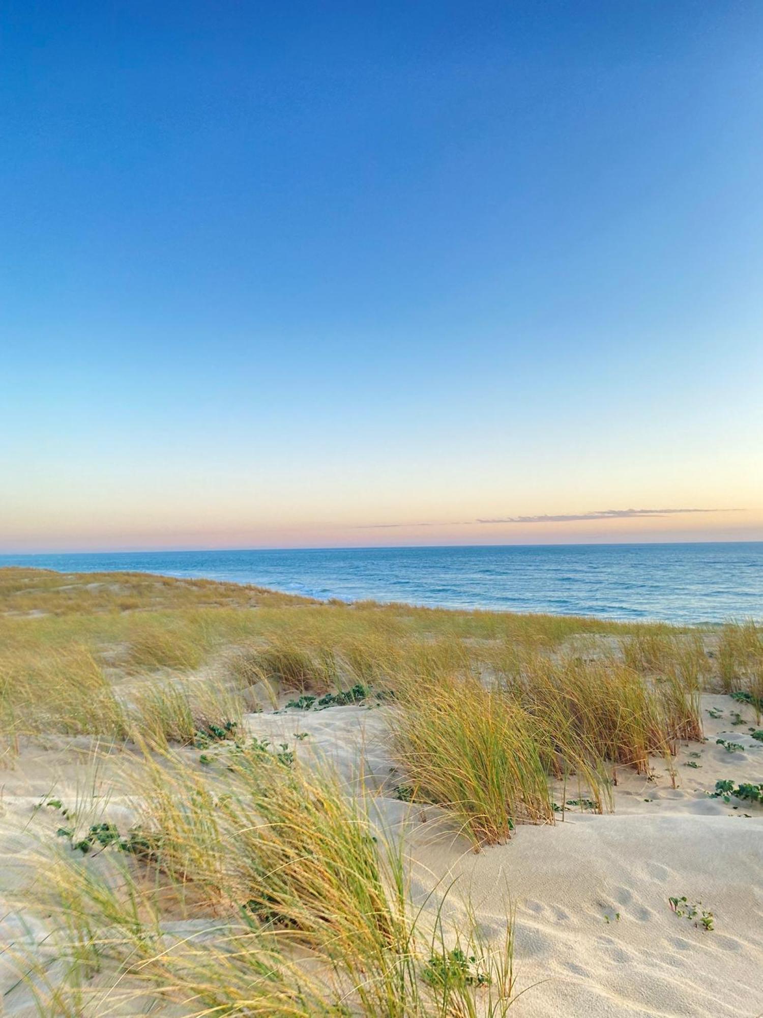 Cocon Entre Presqu'Ile Du Cap Ferret Et Plages Oceanes - Terrasse - 1 Velo Gratuit Ares Exterior photo